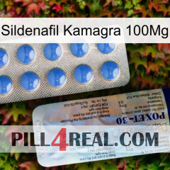 Sildenafil Kamagra 100Mg 39